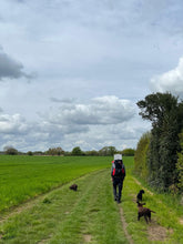 Load image into Gallery viewer, HIRE a Osprey Poco Child Carrier