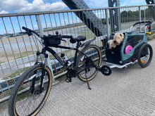 Load image into Gallery viewer, HIRE a Burley Pet Trailer - Kids Bike Trailers