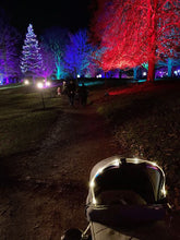 Load image into Gallery viewer, SeeNBSafe Buggy Lights