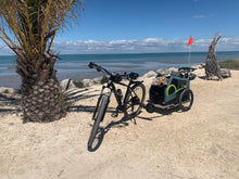 Load image into Gallery viewer, Burley Bark Ranger® - Kids Bike Trailers