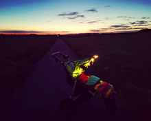 Load image into Gallery viewer, SeeNBSafe Buggy Lights