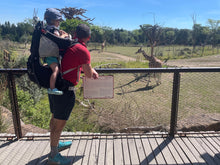 Load image into Gallery viewer, HIRE a Osprey Poco Child Carrier